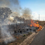 Mato Grosso tem mais de 400 focos de incêndio em um dia