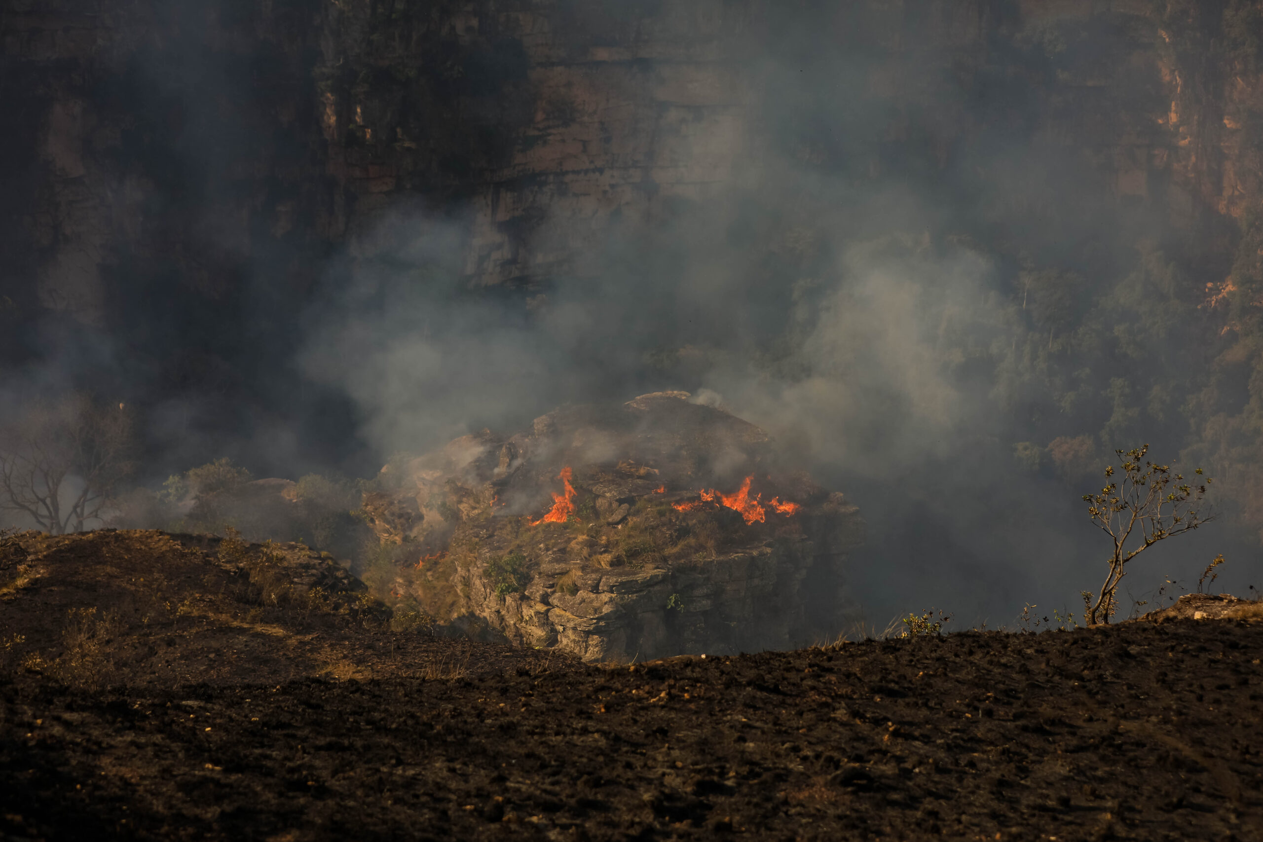 Incêndios em Mato Grosso Disparam: Aumento Alarmante e Destruição Generalizada