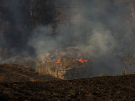 Incêndios florestais