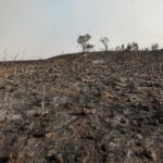 Mato Grosso tem sua pior seca em 44 anos