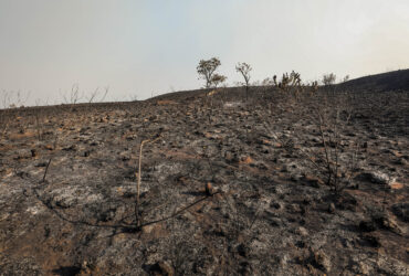 Mato Grosso tem sua pior seca em 44 anos