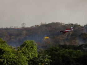 Bombeiros do Mato Grosso combatem 49 incêndios