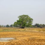 La Niña ajudará a extinguir queimadas e com a safra