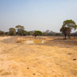 Seca Severas Afetam Nascentes em Cuiabá e Preocupam Especialistas