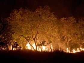 Governo Federal endurece multas por incêndios