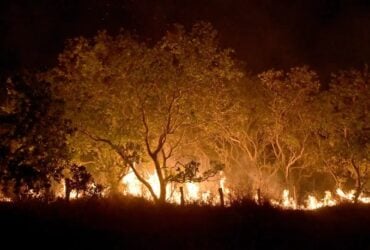 Governo Federal endurece multas por incêndios