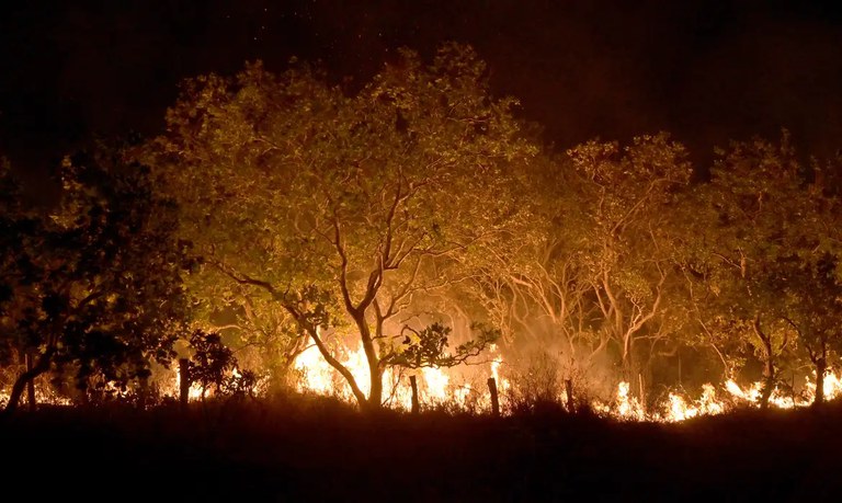 Governo Federal endurece multas por incêndios