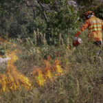 CBM de Mato Grosso combatem a 50 incêndios