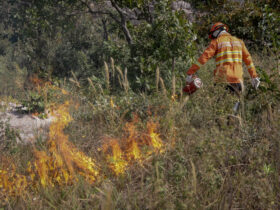 CBM de Mato Grosso combatem a 50 incêndios