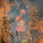 Corpo de Bombeiros Combate 49 Incêndios Florestais em Mato Grosso