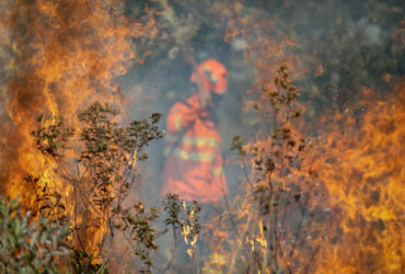 Corpo de Bombeiros Combate 49 Incêndios Florestais em Mato Grosso