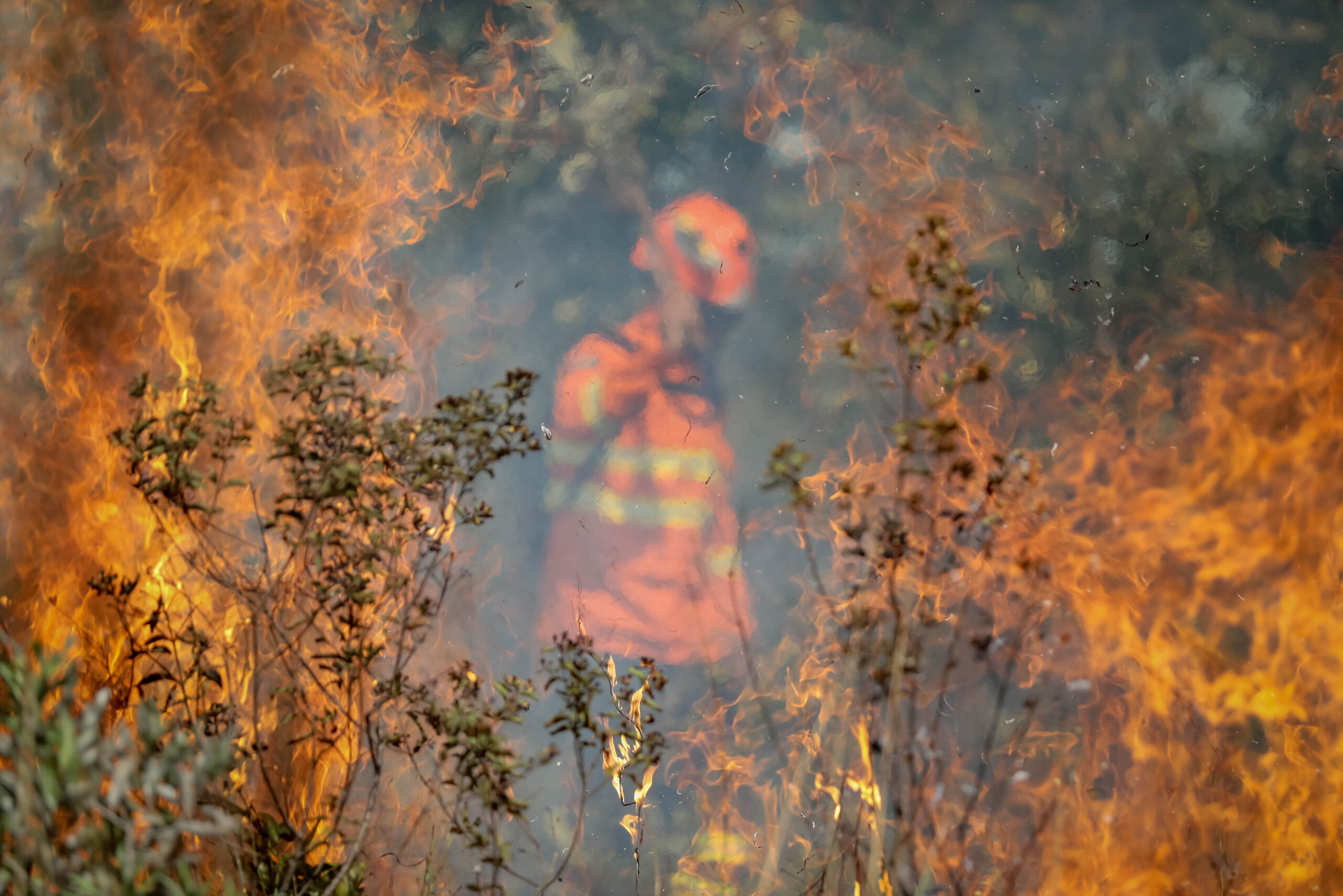 Corpo de Bombeiros Combate 49 Incêndios Florestais em Mato Grosso