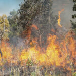 Mato Grosso registra 75 focos de incêndio nesta sexta