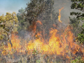 Mato Grosso registra 75 focos de incêndio nesta sexta