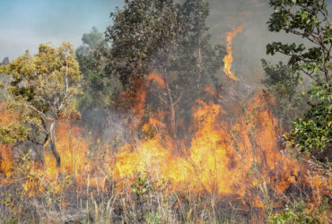 Mato Grosso registra 75 focos de incêndio nesta sexta