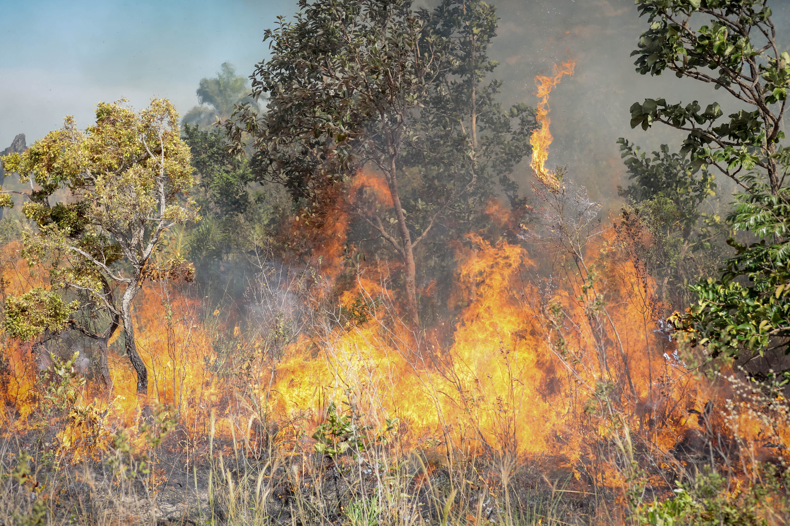 Mato Grosso registra 75 focos de incêndio nesta sexta