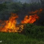 Bombeiros de Mato Grosso tem ajuda das forças armadas para incêndios