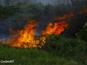 Bombeiros de Mato Grosso tem ajuda das forças armadas para incêndios