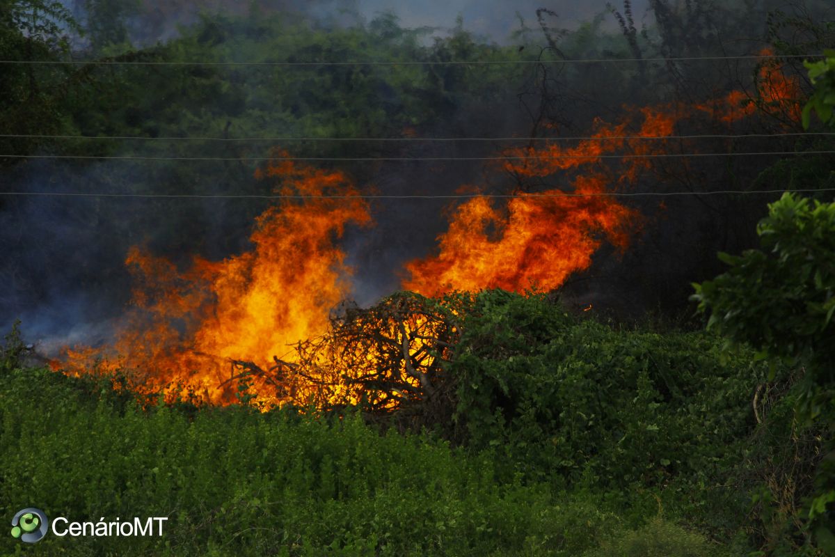 Bombeiros de Mato Grosso tem ajuda das forças armadas para incêndios