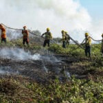 Mato Grosso registra quase 600 focos de incêndio nesta terça