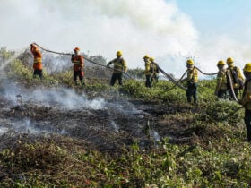 Mato Grosso registra quase 600 focos de incêndio nesta terça