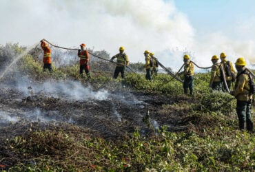 Mato Grosso registra quase 600 focos de incêndio nesta terça