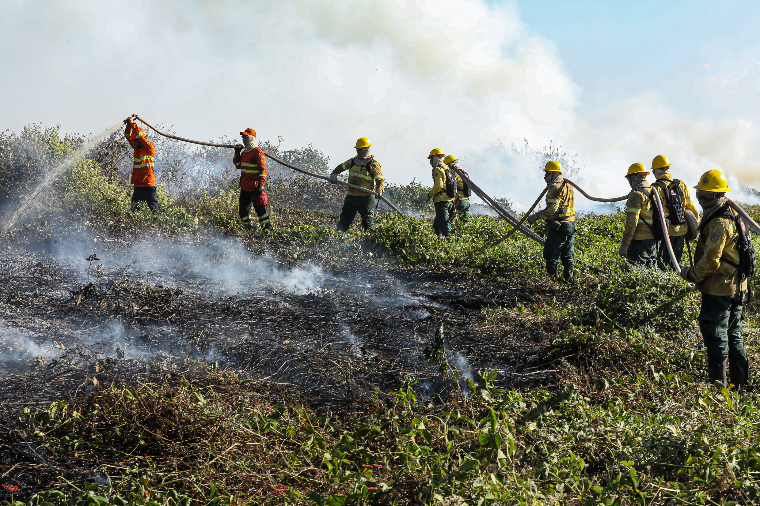 Mato Grosso registra quase 600 focos de incêndio nesta terça