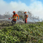 Combate à incêndios no Pantanal do Mato Grosso