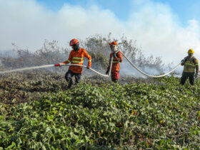 Combate à incêndios no Pantanal do Mato Grosso