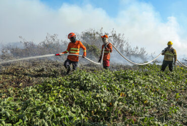 Combate à incêndios no Pantanal do Mato Grosso