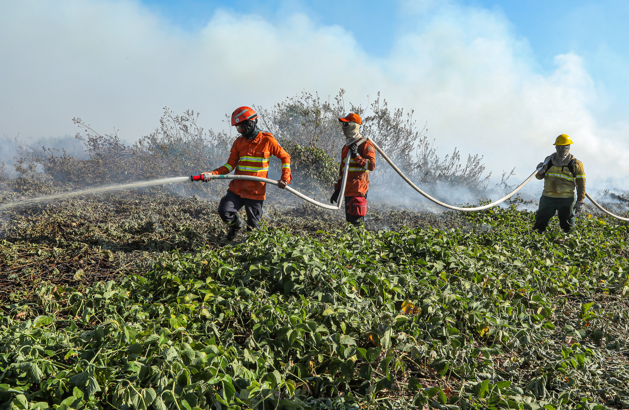 Combate à incêndios no Pantanal do Mato Grosso