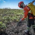 Combate à incêndios no Pantanal