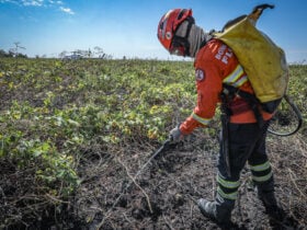 Combate à incêndios no Pantanal