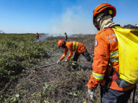 Combate à incêndios no Mato Grosso