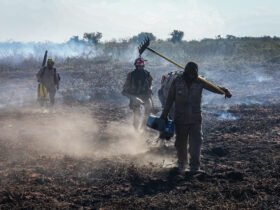 Combate à incêndios no Mato Grosso