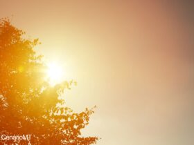 Mato Grosso do Sul Registra as Maiores Temperaturas do Ano