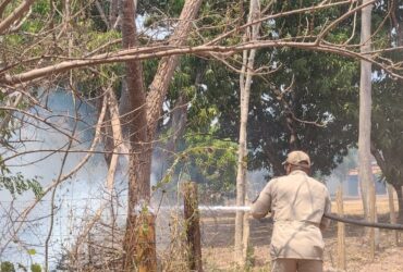 Mato Grosso lidera ranking de queimadas em 24 horas