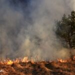 Incêndios no Mato Grosso prejudicam produtores