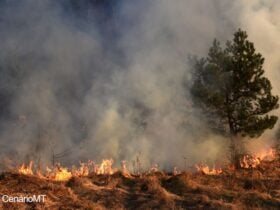 Incêndios no Mato Grosso prejudicam produtores