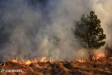 Incêndios no Mato Grosso prejudicam produtores