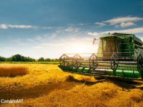 Mato Grosso enfrenta desafios climáticos no início da safra