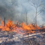 Mato Grosso tem situação de emergência declarada