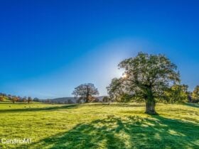 Temperaturas altas marcam o final da semana em Mato Grosso