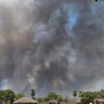 Incêndios Florestais Devastam Terras Indígenas em Mato Grosso