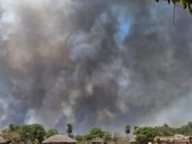 Incêndios Florestais Devastam Terras Indígenas em Mato Grosso