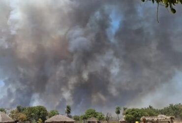 Incêndios Florestais Devastam Terras Indígenas em Mato Grosso