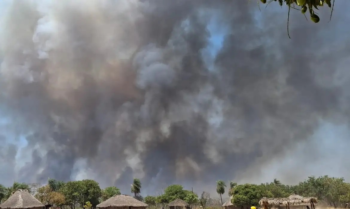 Incêndios Florestais Devastam Terras Indígenas em Mato Grosso