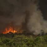 AGU Cria Grupo para Combater Crimes Ambientais no Brasil