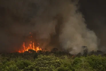 AGU Cria Grupo para Combater Crimes Ambientais no Brasil