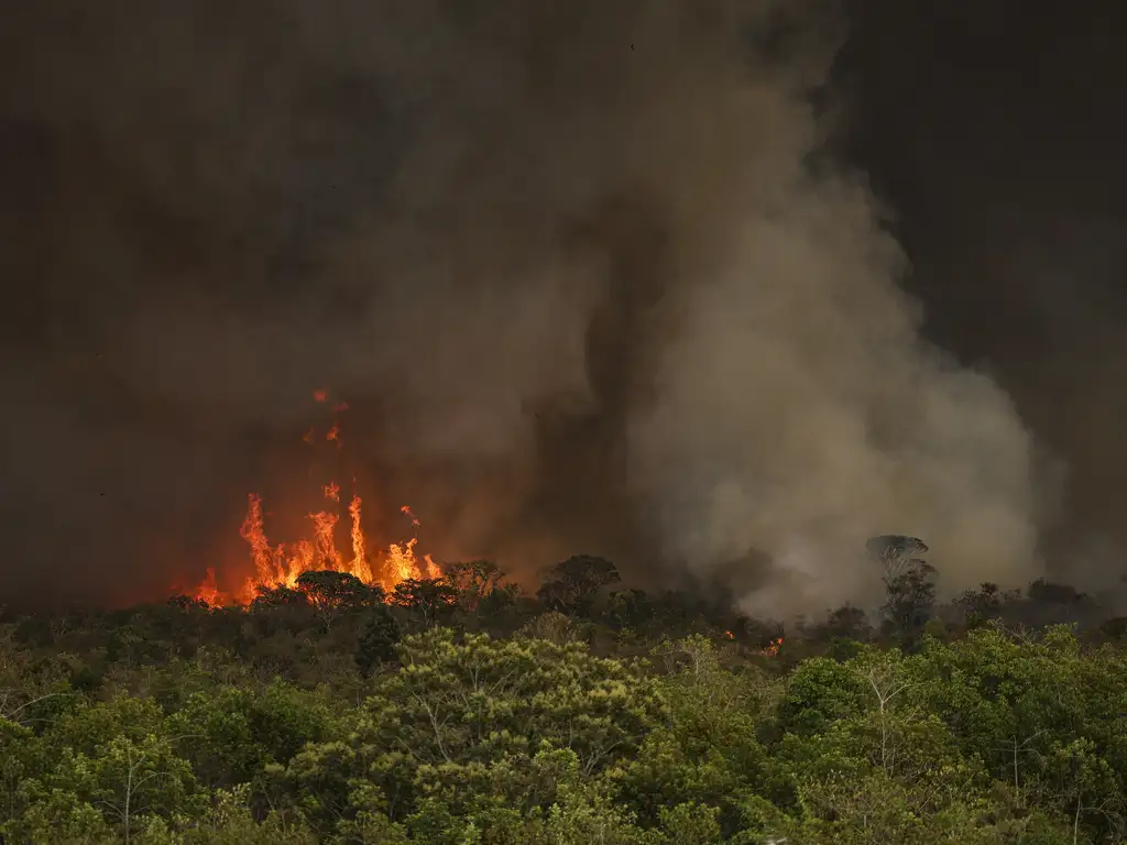 AGU Cria Grupo para Combater Crimes Ambientais no Brasil